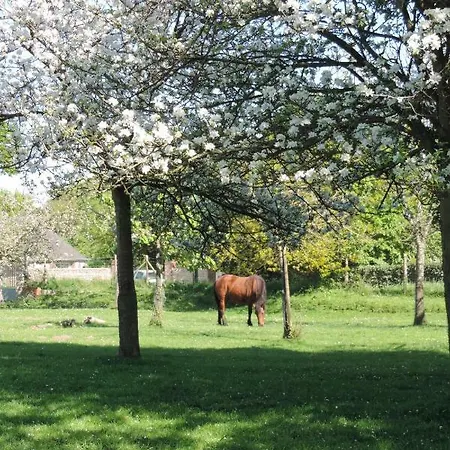 Hébergement de vacances Belval